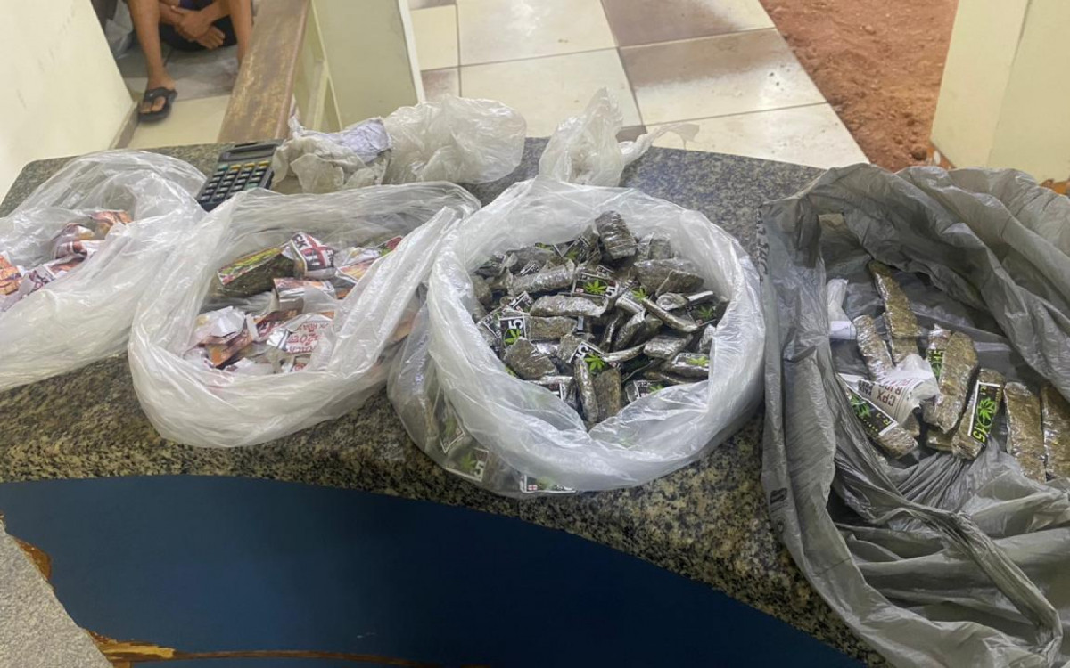 Drogas apreendidas pelos agentes do Segurança Presente na Região Metropolitana