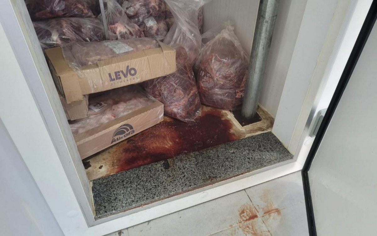 Cerca de 650 kg de carne imprópria para consumo foram apreendidos no frigorífico - Divulgação