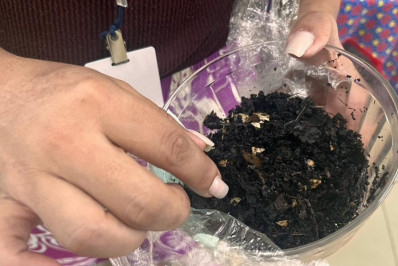 Projeto Ecocidadão leva educação ambiental às unidades da rede municipal de ensino de Araruama