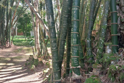 Jardim Botânico começa campanha educativa para proteção dos animais e vegetação