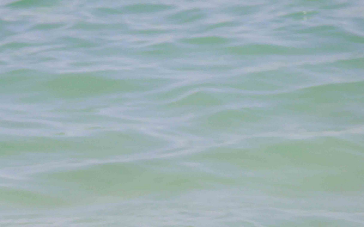 Guilhermina Guinle curte dia de sol em praia do Rio