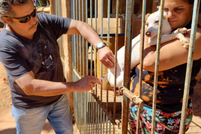 Vacinação antirrábica segue nos bairros sul-paraibanos