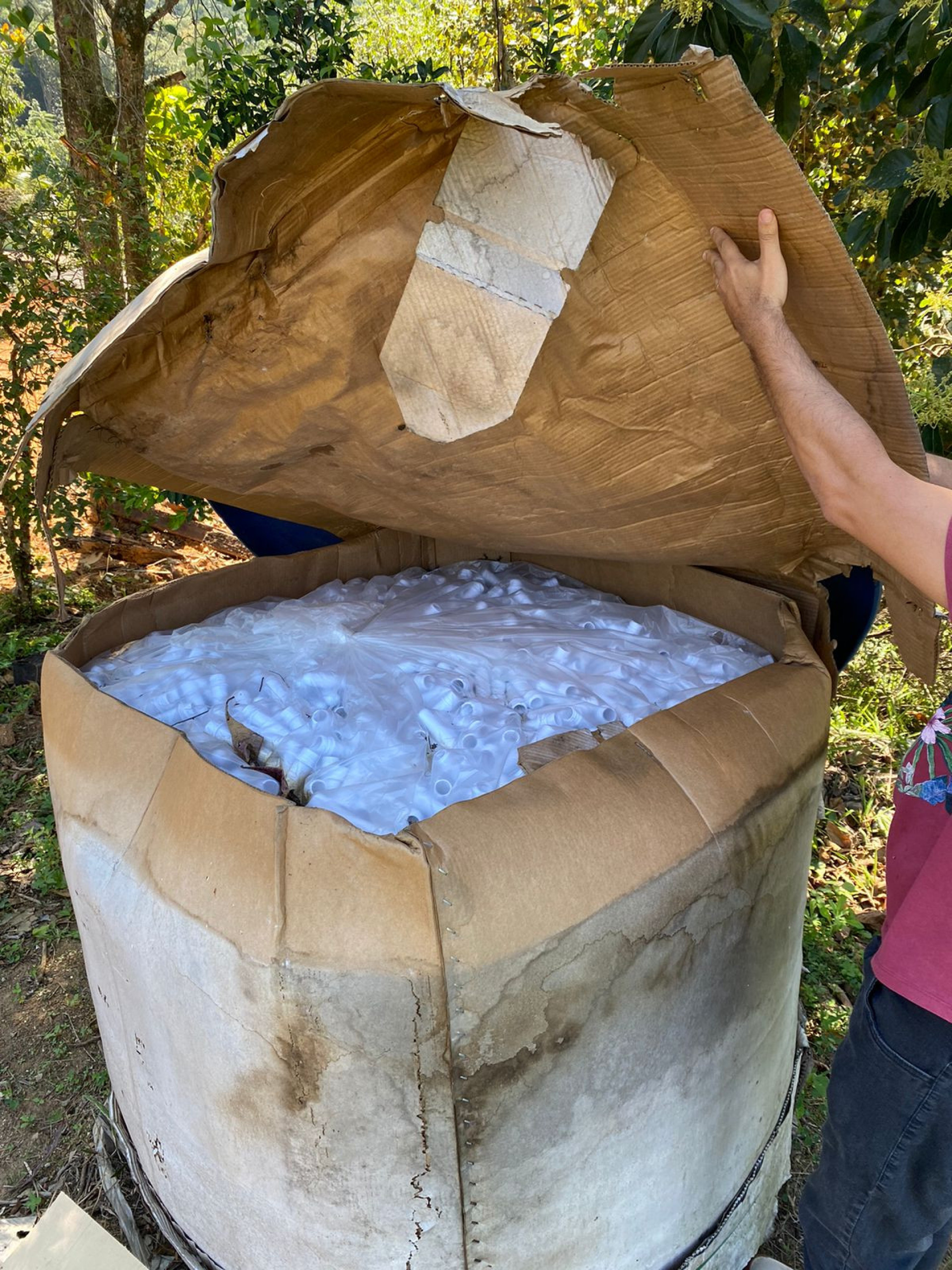Material era armazenado em caixas de papelão com mofo em um galpão de Campo Grande - Divulgação