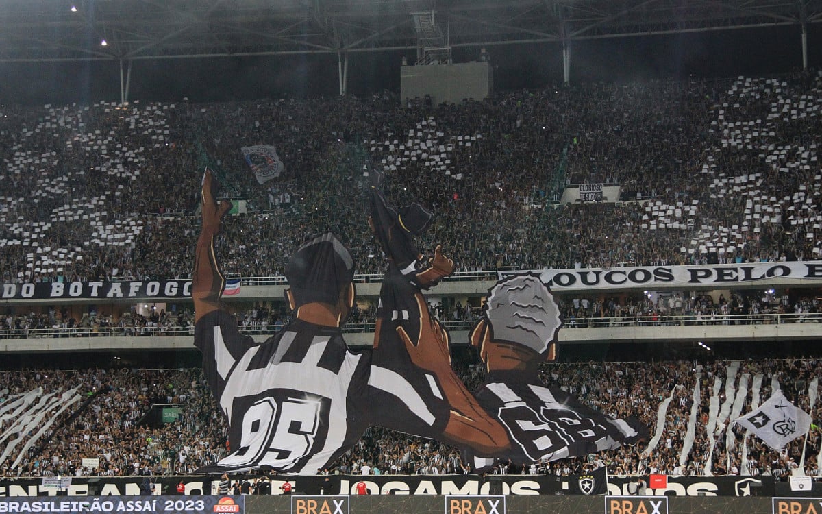 Mosaico 3D da torcida do Botafogo no Est&aacute;dio Nilton Santos