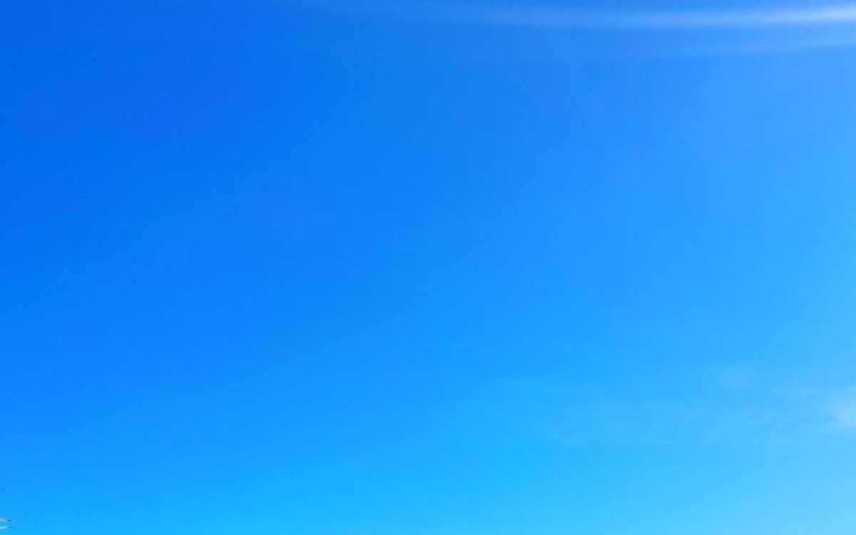 Larissa Manoela e a fam&iacute;lia do noivo, Andr&eacute; Luiz Frambach