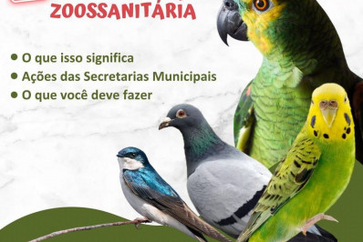 Prefeitura faz alerta sobre estado de emergência zoossanitária devido a influenza aviária