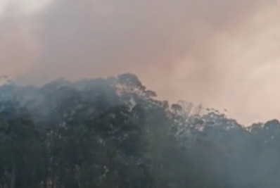 Incêndio atinge parque na Zona Leste de São Paulo
