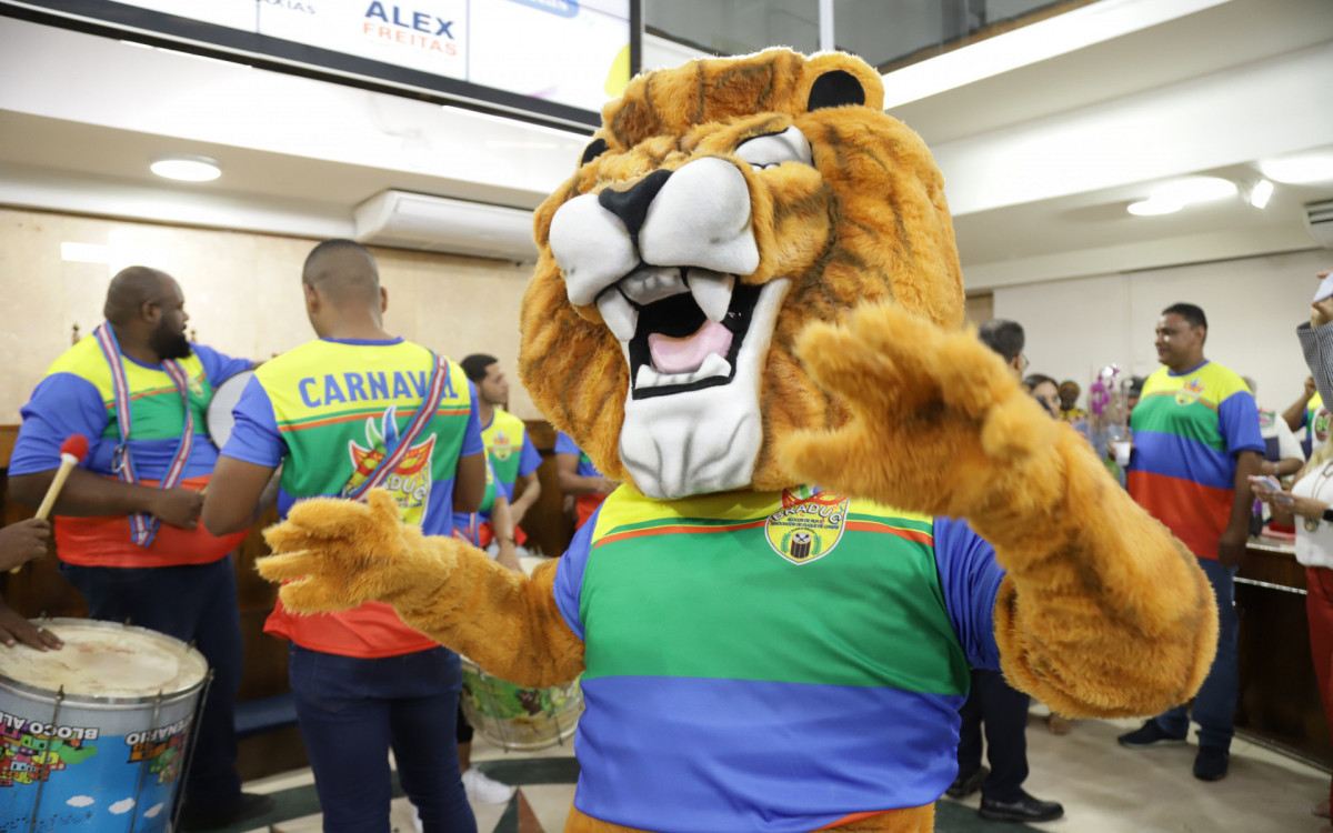 Blocos de Rua e Associados s&atilde;o homenageados na C&acirc;mara de Caxias - Art V&iacute;deo/ Victor Hugo/Divulga&ccedil;&atilde;o