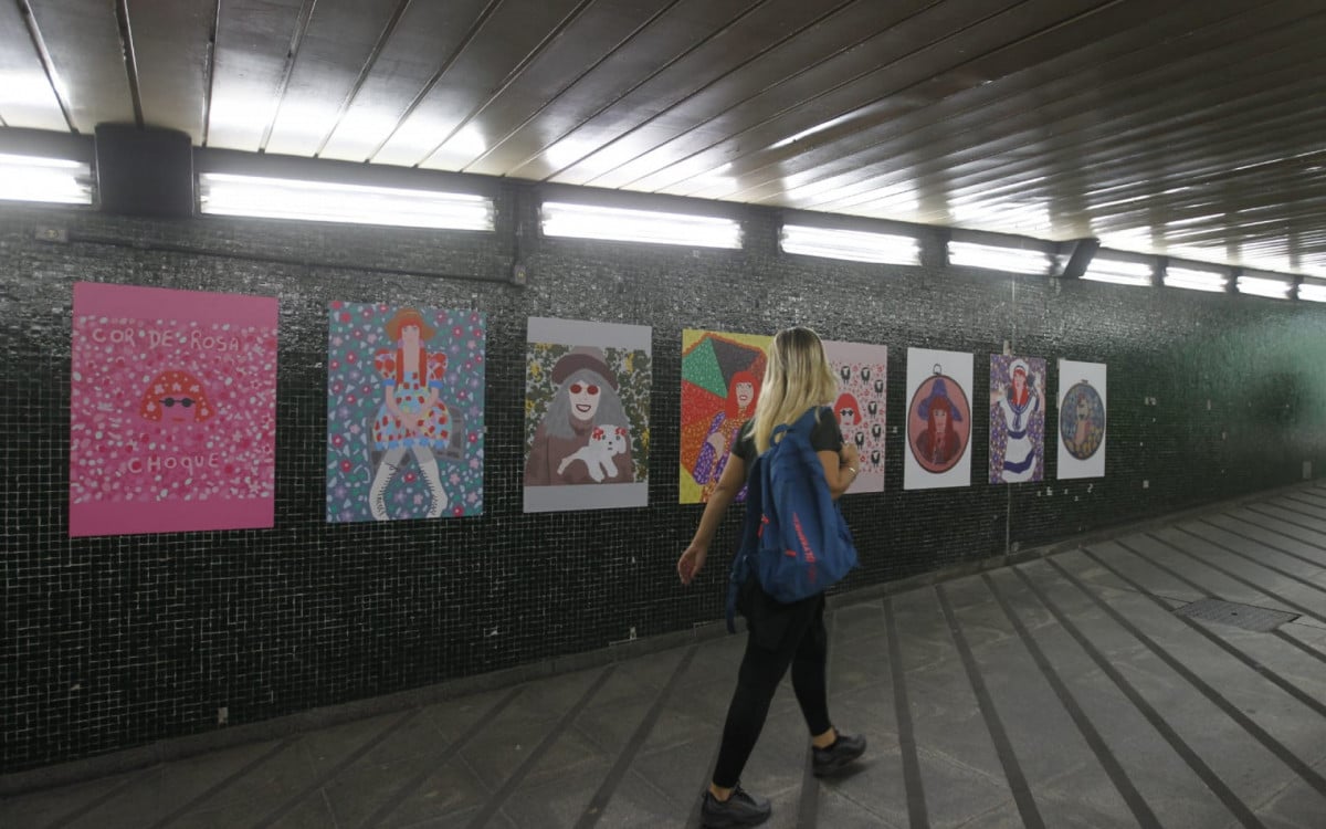  Exposição está aberta na Estação Saens Peña/Tijuca