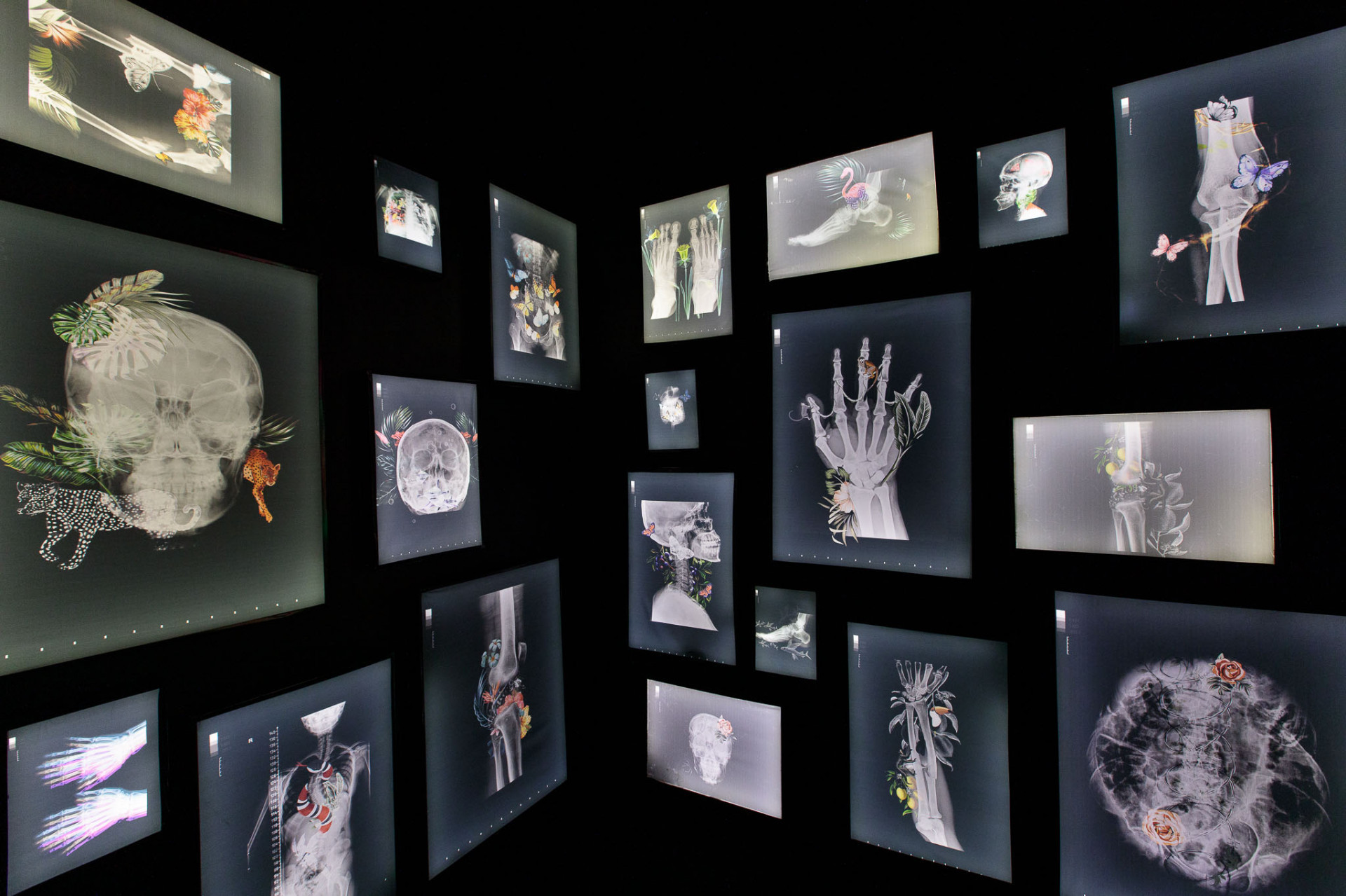 Temporada de 'Frida Kahlo - Uma Biografia Imersiva' é prorrogada até outubro, no Forte de Copacabana, Zona Sul do Rio - Divulgação