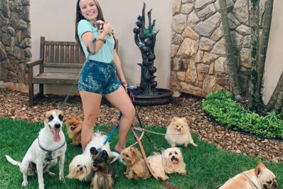Separação de cães na família de Larissa Manoela