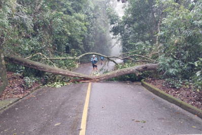 Chuva provoca deslizamento e queda de árvores no Rio