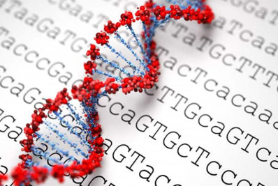 Teoria chinesa evolucionista é questionada por geneticistas ocidentais