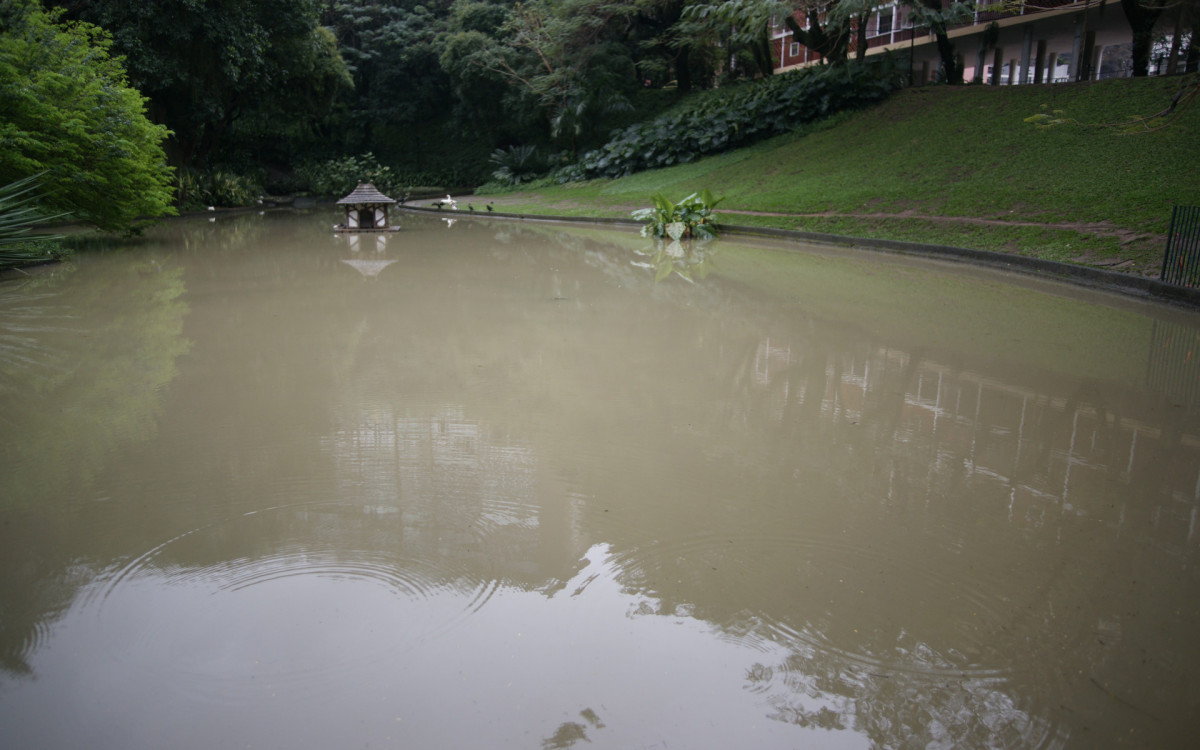 O cisne-negro Romeu, um dos símbolos do Parque Guinle, em Laranjeiras, na Zona Sul do Rio, foi morto por um homem na noite deste domingo (27). Policiais militares do 2ºBPM (Botafogo) prenderam o suspeito em flagrante.

