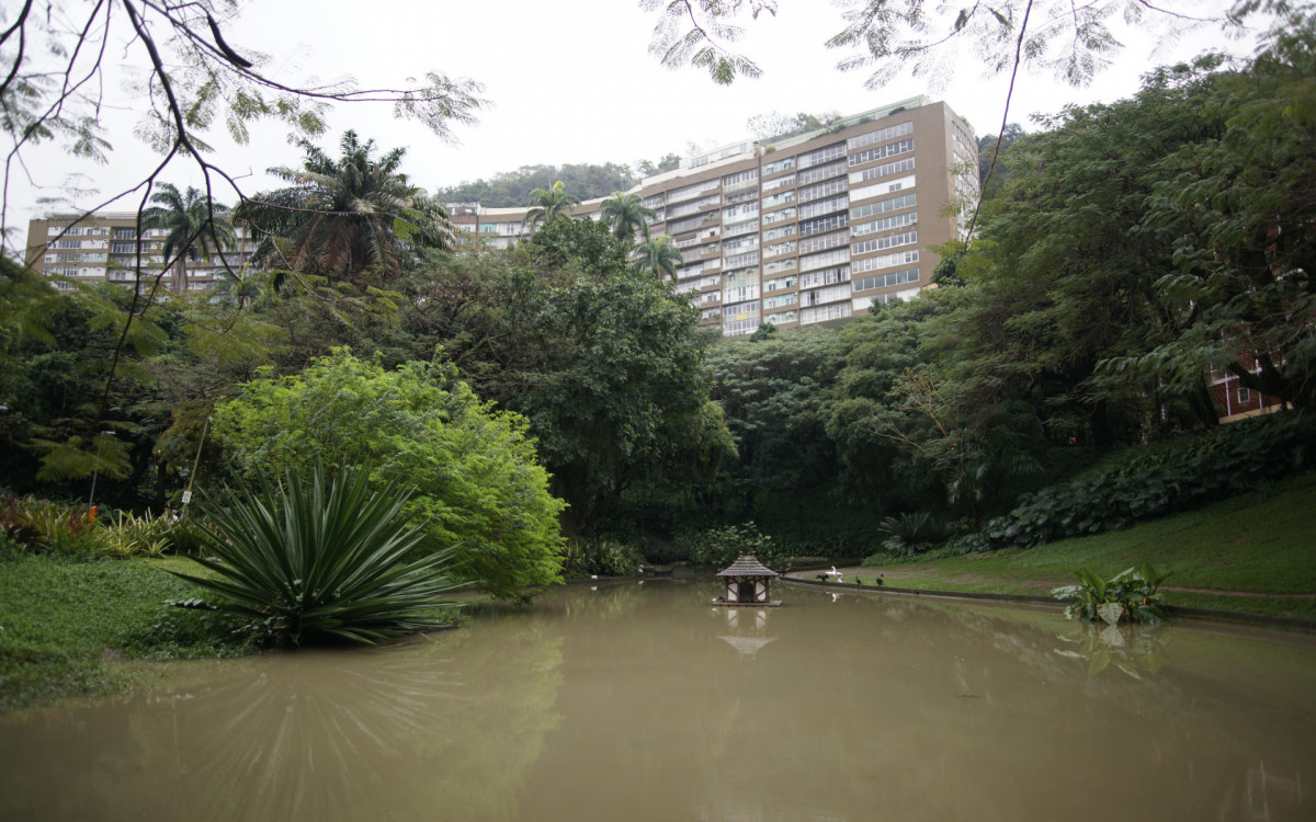 O cisne-negro Romeu, um dos símbolos do Parque Guinle, em Laranjeiras, na Zona Sul do Rio, foi morto por um homem na noite deste domingo (27). Policiais militares do 2ºBPM (Botafogo) prenderam o suspeito em flagrante.

