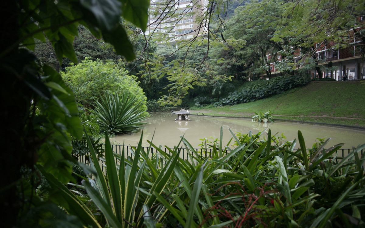 O cisne-negro Romeu, um dos símbolos do Parque Guinle, em Laranjeiras, na Zona Sul do Rio, foi morto por um homem na noite deste domingo (27). Policiais militares do 2ºBPM (Botafogo) prenderam o suspeito em flagrante.

