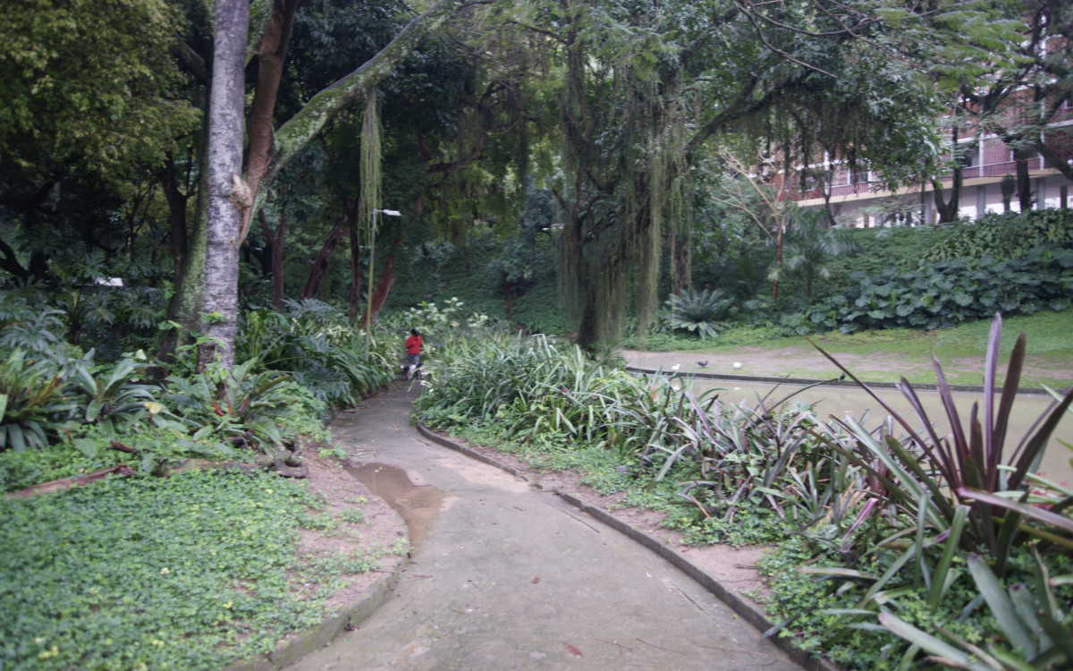 O cisne-negro Romeu, um dos símbolos do Parque Guinle, em Laranjeiras, na Zona Sul do Rio, foi morto por um homem na noite deste domingo (27). Policiais militares do 2ºBPM (Botafogo) prenderam o suspeito em flagrante.

