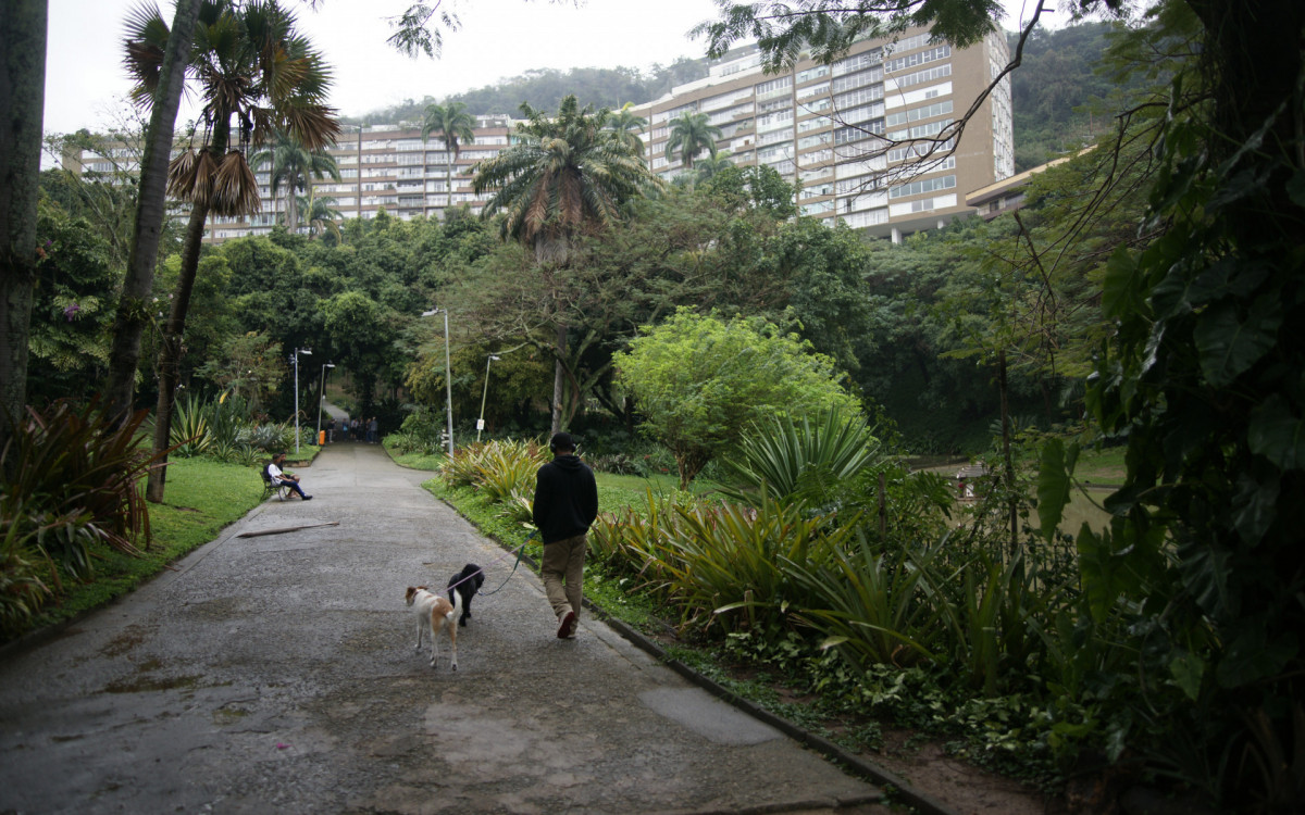 O cisne-negro Romeu, um dos símbolos do Parque Guinle, em Laranjeiras, na Zona Sul do Rio, foi morto por um homem na noite deste domingo (27). Policiais militares do 2ºBPM (Botafogo) prenderam o suspeito em flagrante.

