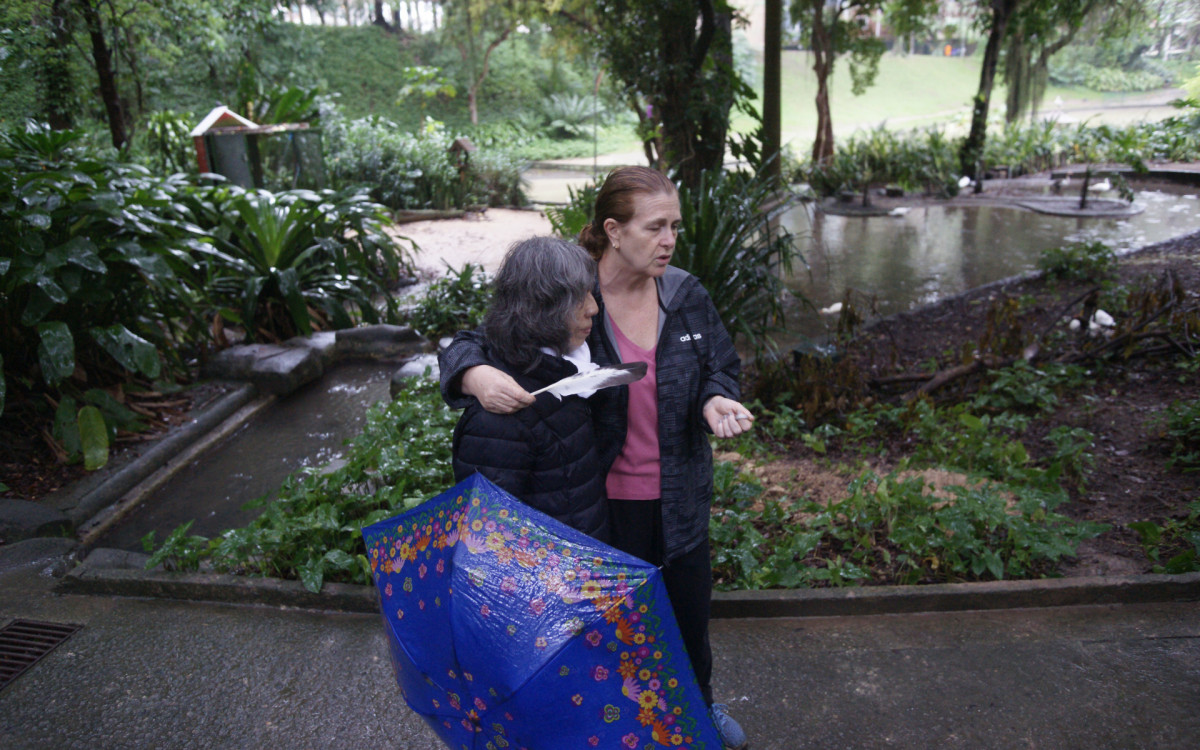 O cisne-negro Romeu, um dos símbolos do Parque Guinle, em Laranjeiras, na Zona Sul do Rio, foi morto por um homem na noite deste domingo (27). Policiais militares do 2ºBPM (Botafogo) prenderam o suspeito em flagrante.

