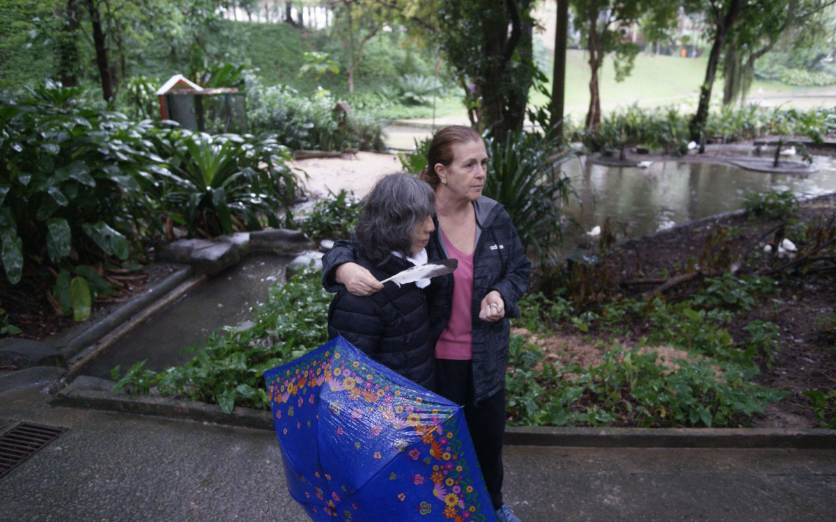 O cisne-negro Romeu, um dos símbolos do Parque Guinle, em Laranjeiras, na Zona Sul do Rio, foi morto por um homem na noite deste domingo (27). Policiais militares do 2ºBPM (Botafogo) prenderam o suspeito em flagrante.

