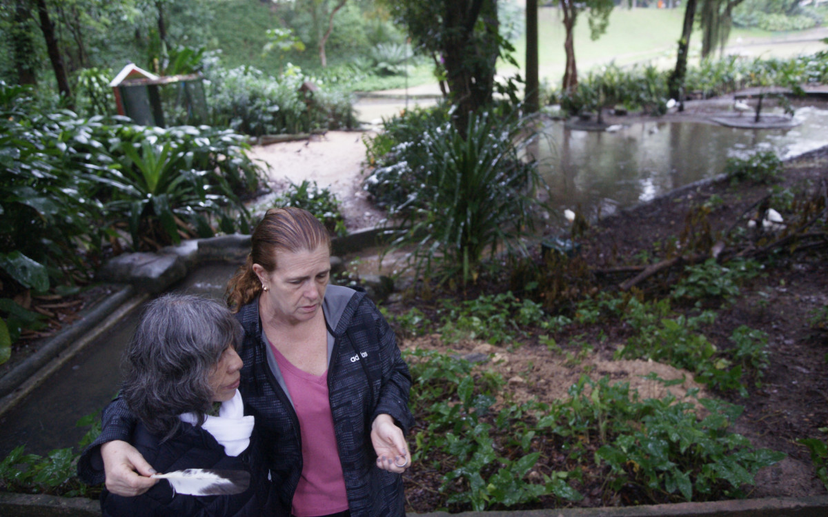 O cisne-negro Romeu, um dos símbolos do Parque Guinle, em Laranjeiras, na Zona Sul do Rio, foi morto por um homem na noite deste domingo (27). Policiais militares do 2ºBPM (Botafogo) prenderam o suspeito em flagrante.

