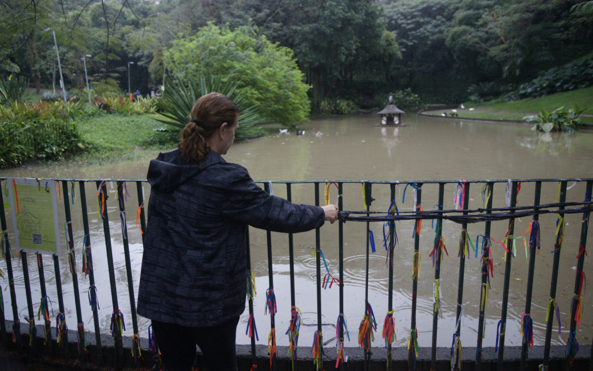 O cisne-negro Romeu, um dos símbolos do Parque Guinle, em Laranjeiras, na Zona Sul do Rio, foi morto por um homem na noite deste domingo (27). Policiais militares do 2ºBPM (Botafogo) prenderam o suspeito em flagrante.

