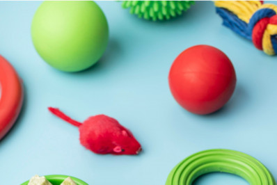 Saldão em pet shop! Veja produtos em promoção exclusiva