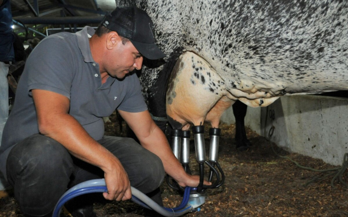 Quem compareceu à Expo não se decepcionou