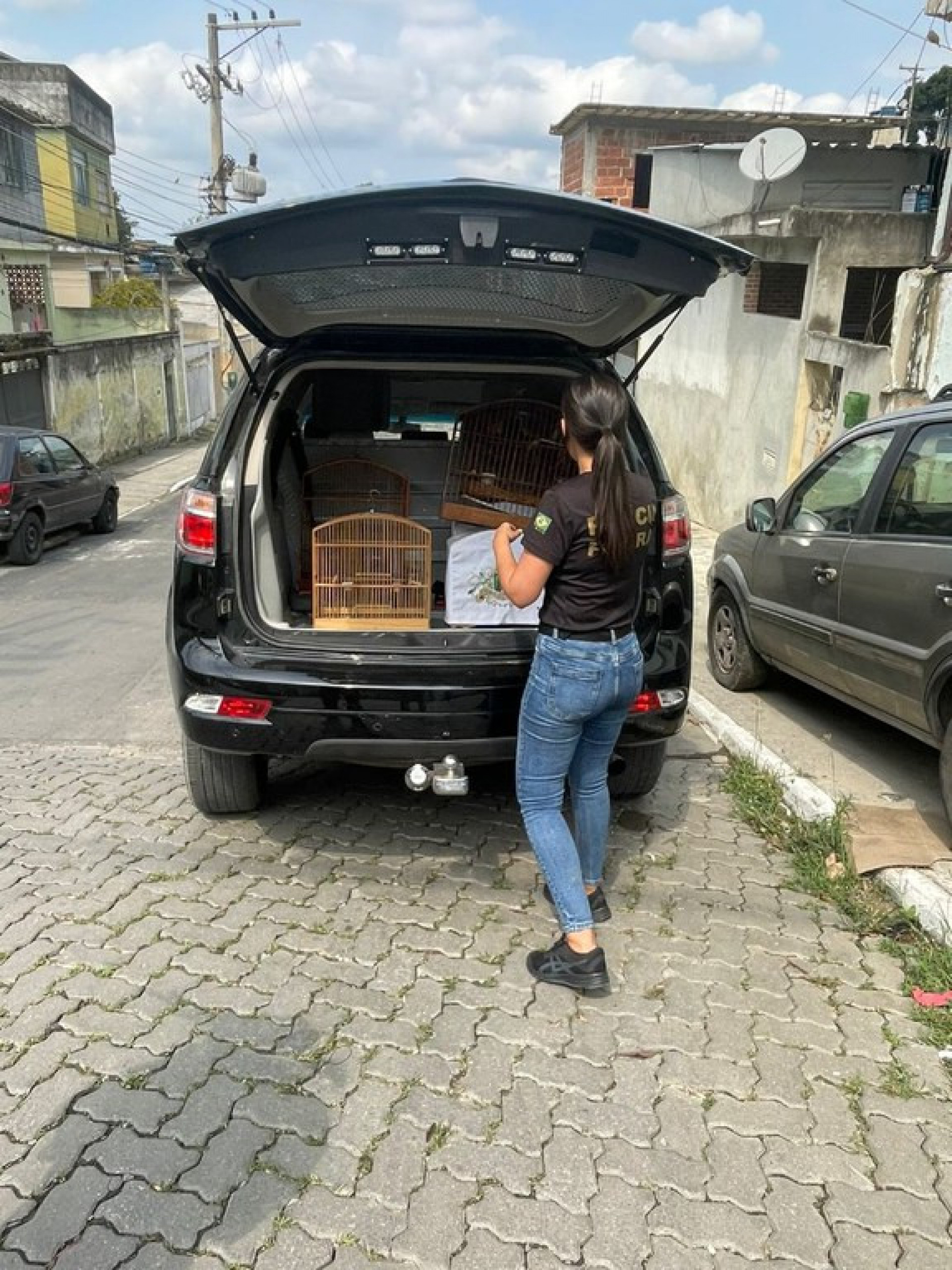 PF prende homem com aves silvestres e macacos em Mesquita

