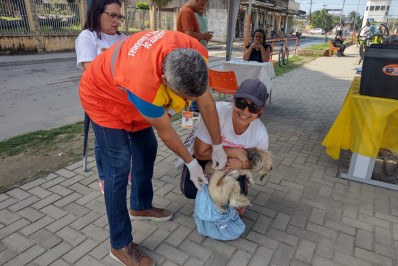 Mutirão da Saúde de Belford Roxo leva vacinação animal e fumacês ao Bom Pastor