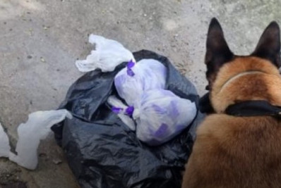 Ação Policial e Cão Farejador Resultam em Importante Apreensão de Drogas em Rio das Ostras