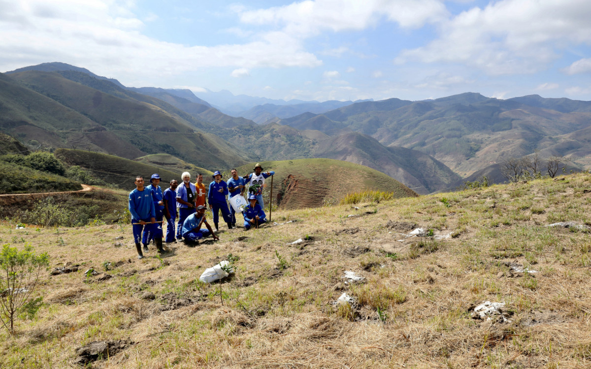 Projeto &quot;Replantando Vida&quot; no primeiro dia do plantio de mudas - Governo do Estado