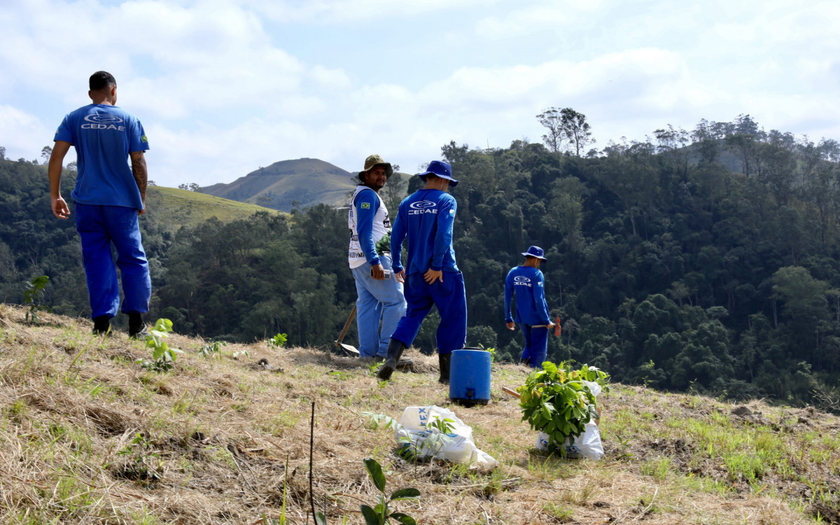 Equipe do projeto "Replantando Vida"