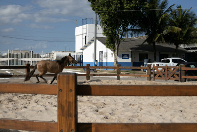 Expo Nacional do Campolina chega a Macaé com Estrelas de Quatro Patas