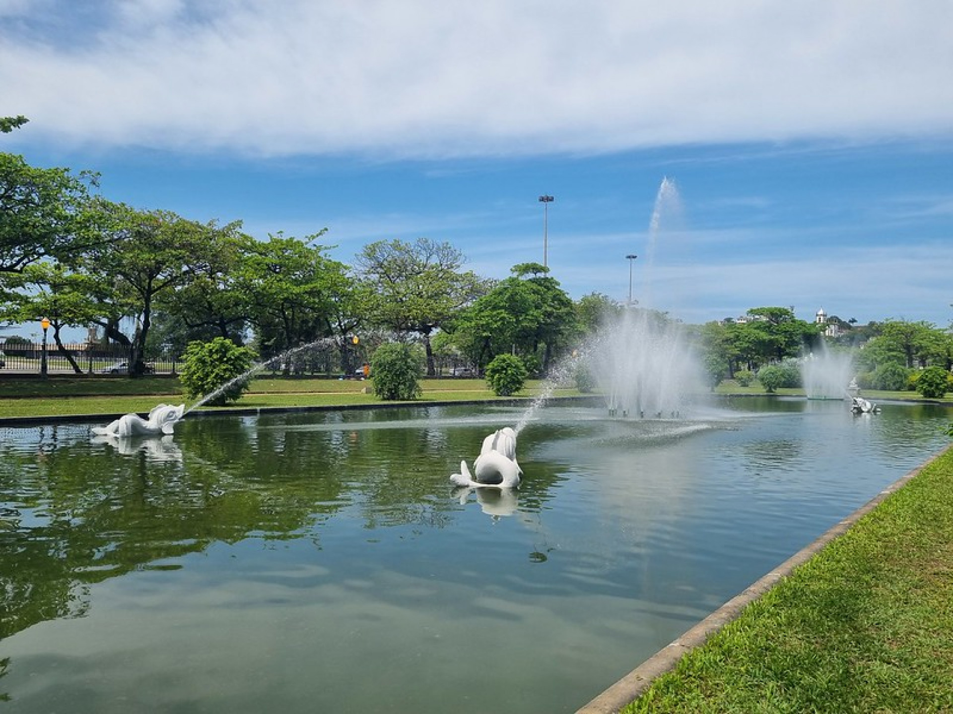 O Chafariz dos Golfinhos segue a programação dos demais chafarizes cariocas - Divulgação/Prefeitura do Rio