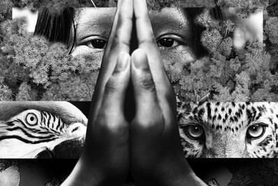 Uma prece pela querida Amazônia