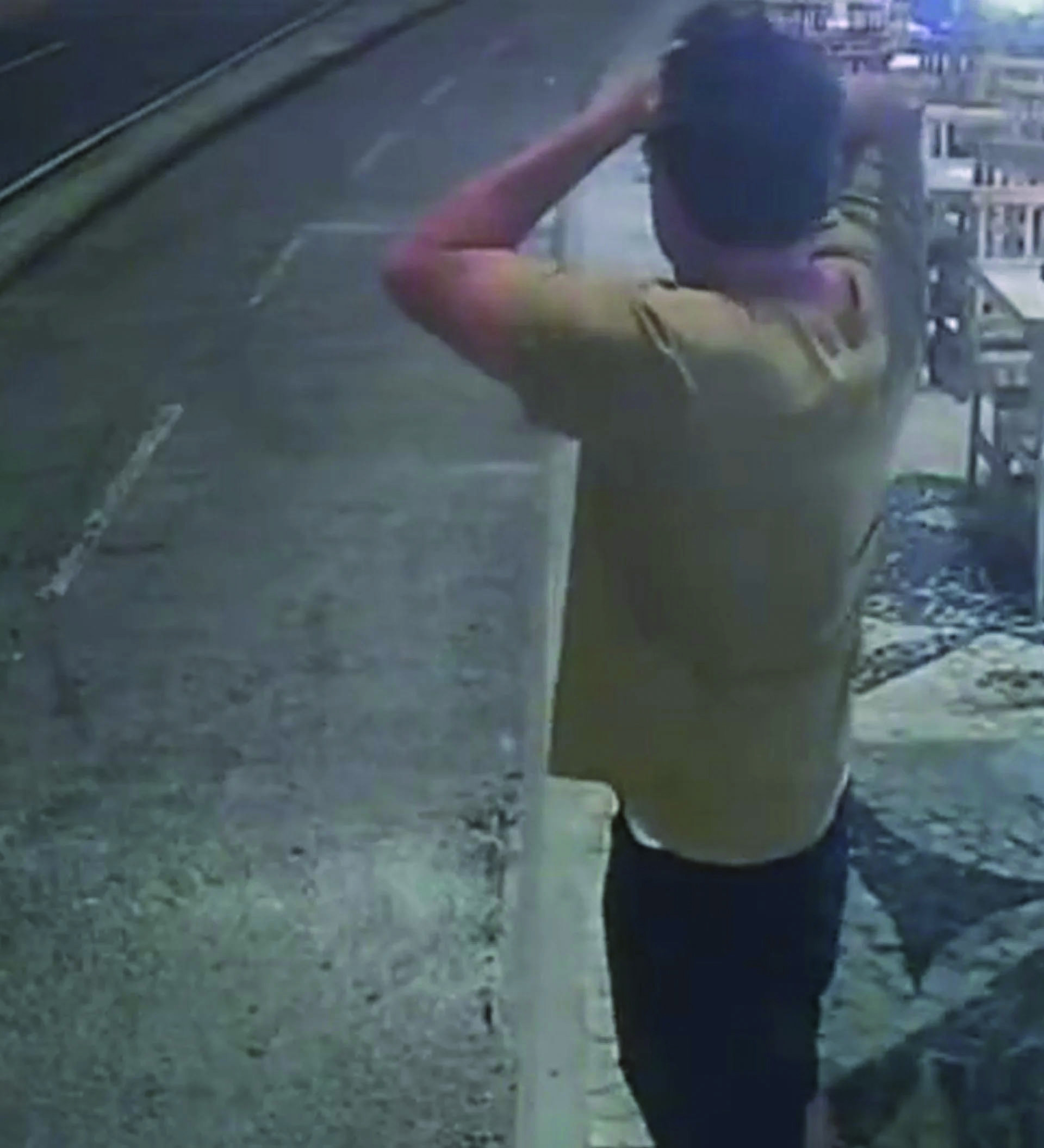 bruno de luca - reprodução