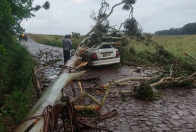 Homem morre atingido por árvore em SC em decorrência do ciclone que vitimou quatro pessoas no RS