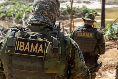 Ibama barra autorizações de caça a javali e animais exóticos