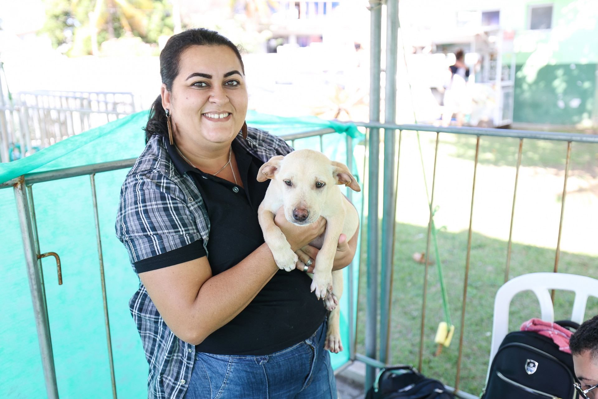 Quinze animais são adotados em campanha realizada pela prefeitura de Saquarema
 - Divulgação
