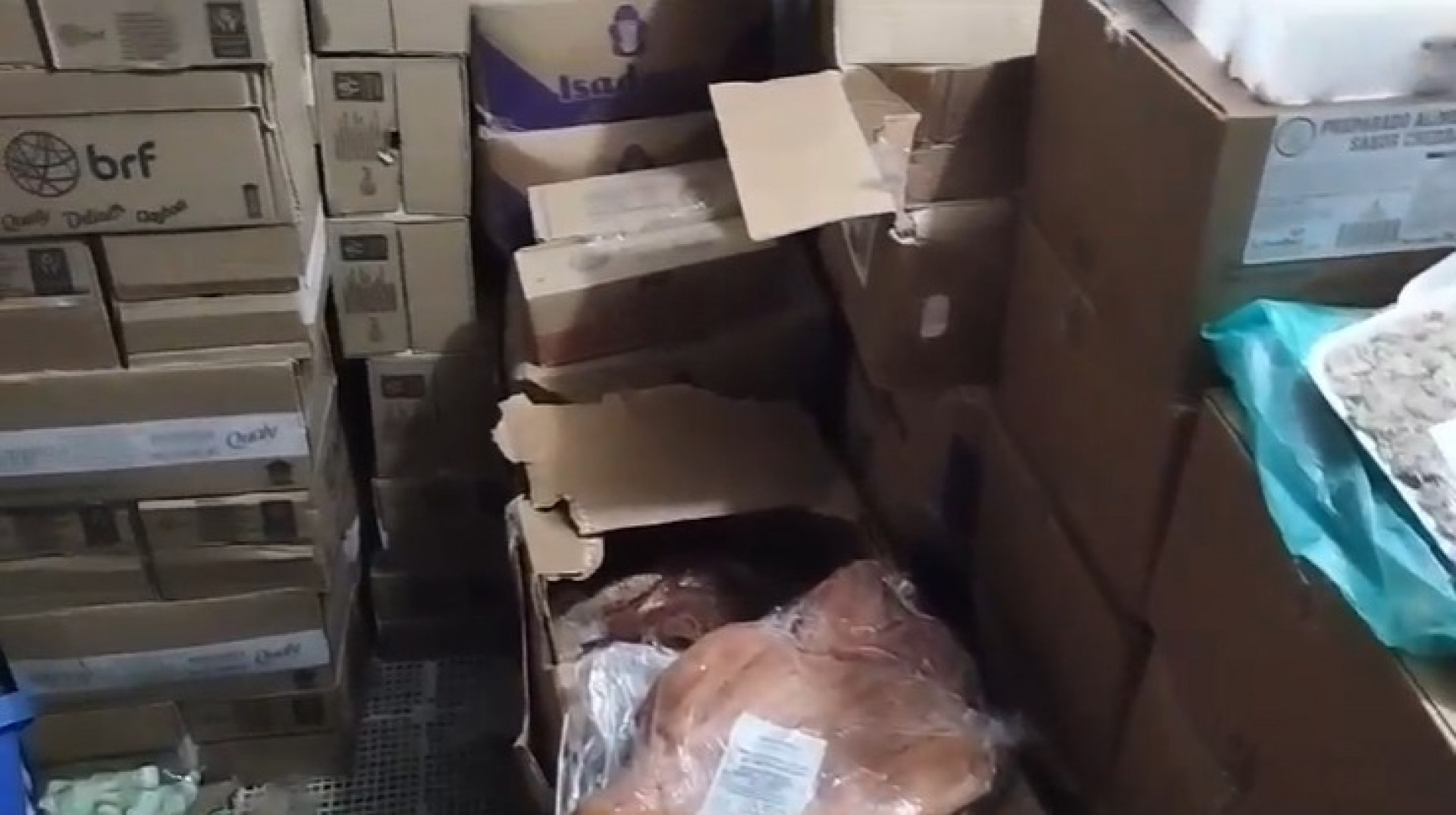 Alimentos eram estocados em local impróprio para serem vendidos posteriormente - Reprodução