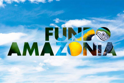 Recursos do Fundo Amazônia serão destinados à preservação do bioma