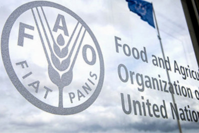 Índice de Preços de Alimentos da FAO sobe 2% em outubro