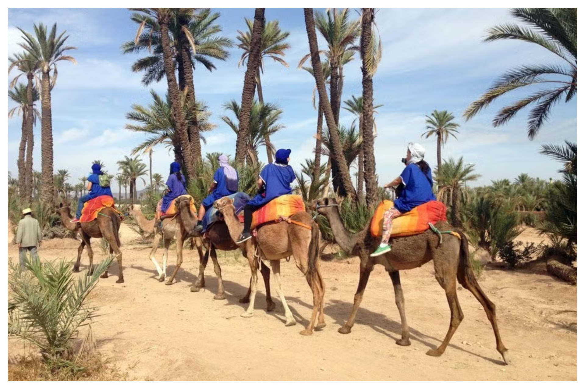 Palmeiral de Marrakech, no Marrocos - Reprodução/Civitatis