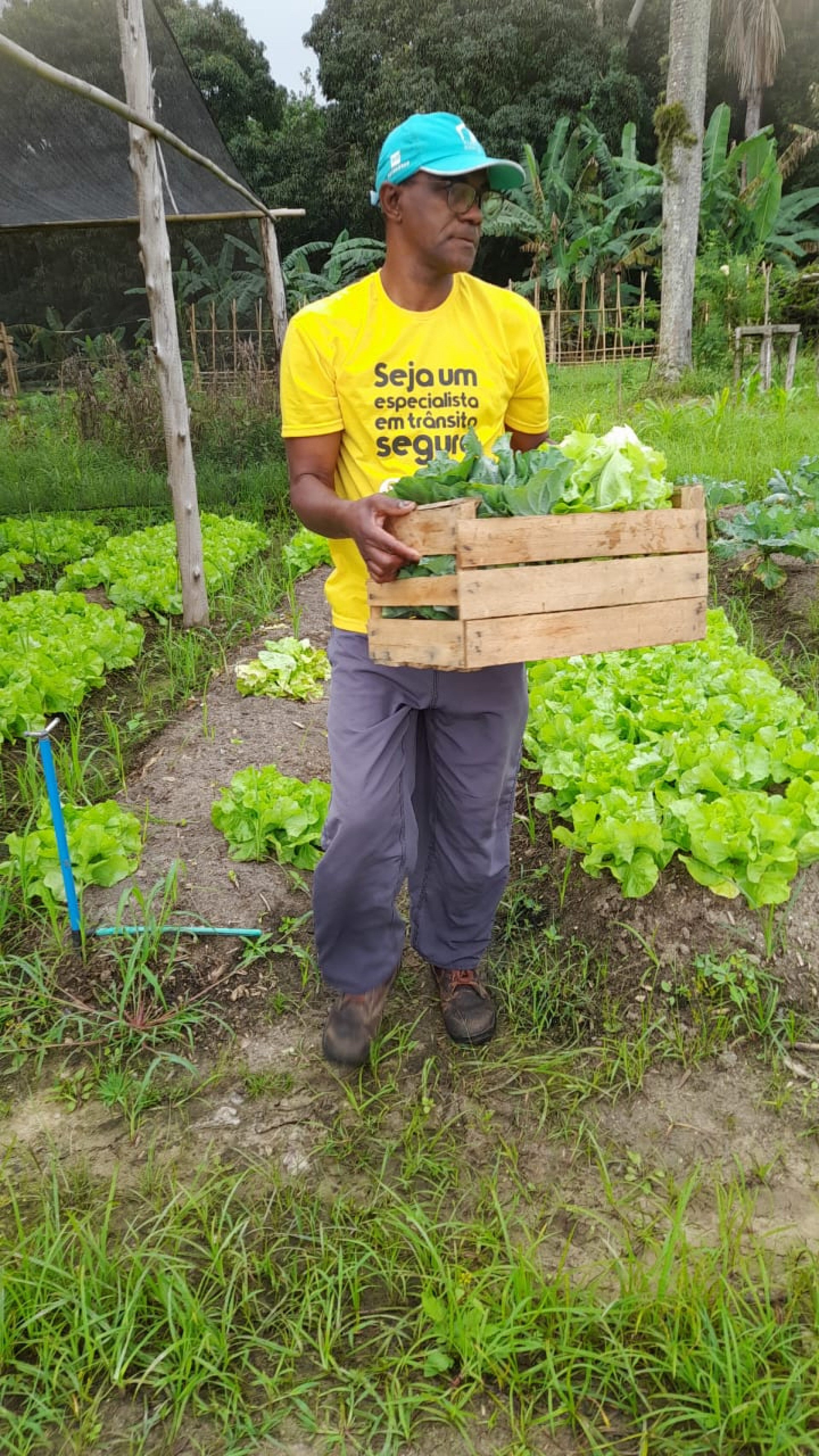 Assistidos pela ONG Will Garcia e no Centro Dia de Sampaio Correa foram contemplados com alimentos e doação de mudas de plantas