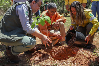 MMA quer evitar licença ambiental de longo prazo no Cerrado