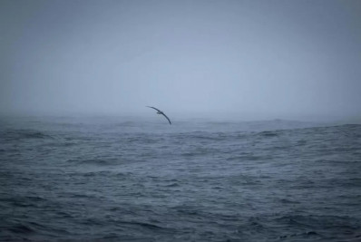 Estados insulares recorrem a tribunal da ONU para proteção dos oceanos