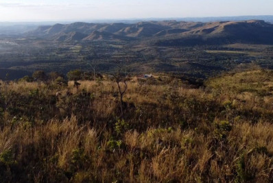 Olhar voltado para a Amazônia ameaça sobrevivência do cerrado