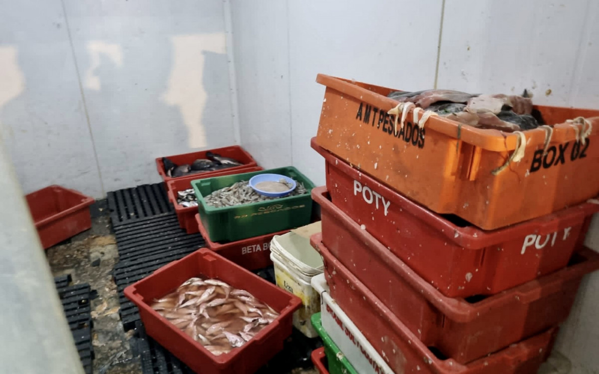 Agentes apreenderam 406 Kg de alimentos vencidos, mal armazenados ou sem especificação quanto a manipulação e validade 