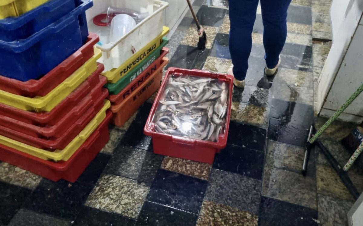 Agentes apreenderam 406 Kg de alimentos vencidos, mal armazenados ou sem especificação quanto a manipulação e validade 